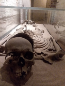 THIS SKELETON CAN ALSO BE SEEN IN MALMÖ CASTLE.