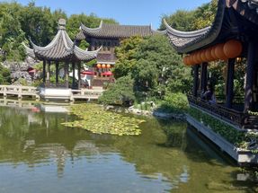 Another area of the Lan Su Chinese Gardens with happy fish in the pond.
