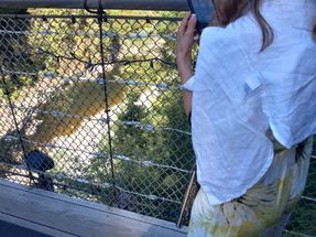 Making a few photos on the Capilano Suspension Bridge. This photo is not so good but I was trying to capture the River below along with Farida. I probably should have just focused on the river.